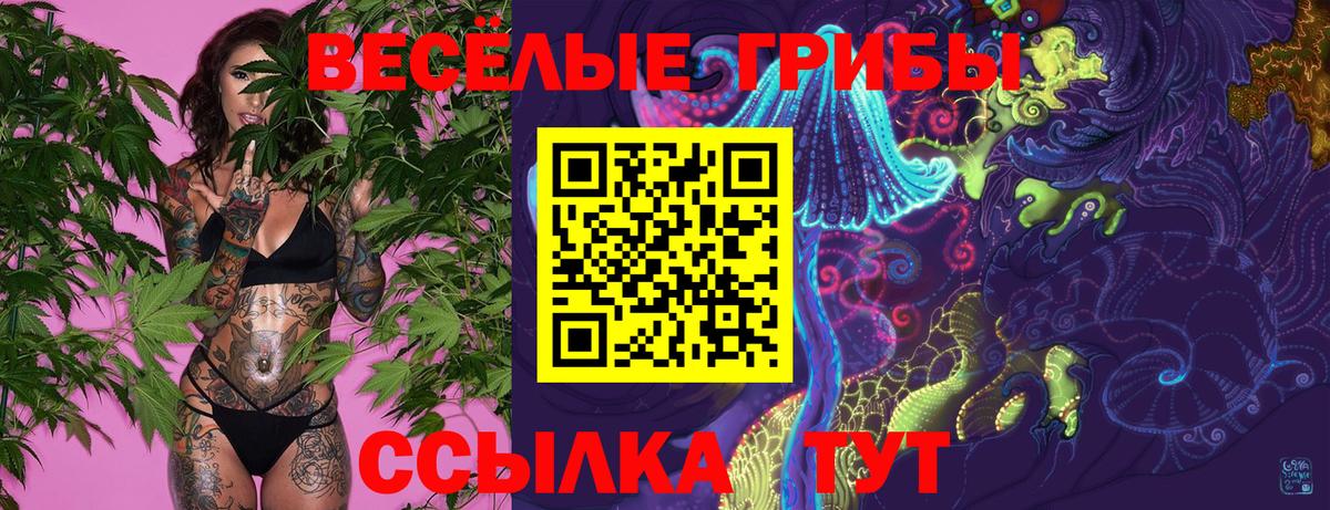 Псилоцибиновые грибы GOLDEN TEACHER  Вход с VPN  Узловая 