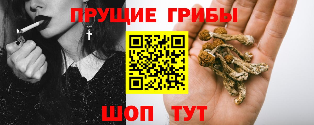 Галлюциногенные грибы Cubensis Узловая